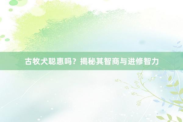 古牧犬聪惠吗？揭秘其智商与进修智力